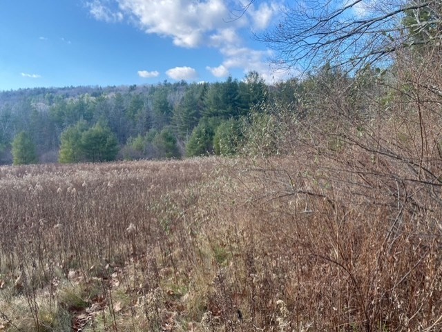 0 East Alford Road West Stockbridge, MA 01266 - Photo 4 of 5