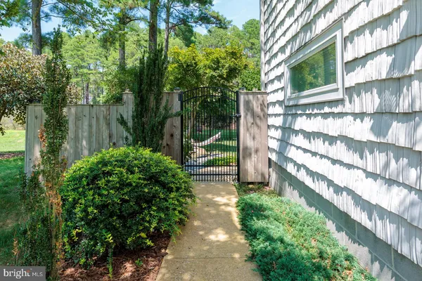 a view of a backyard with large trees