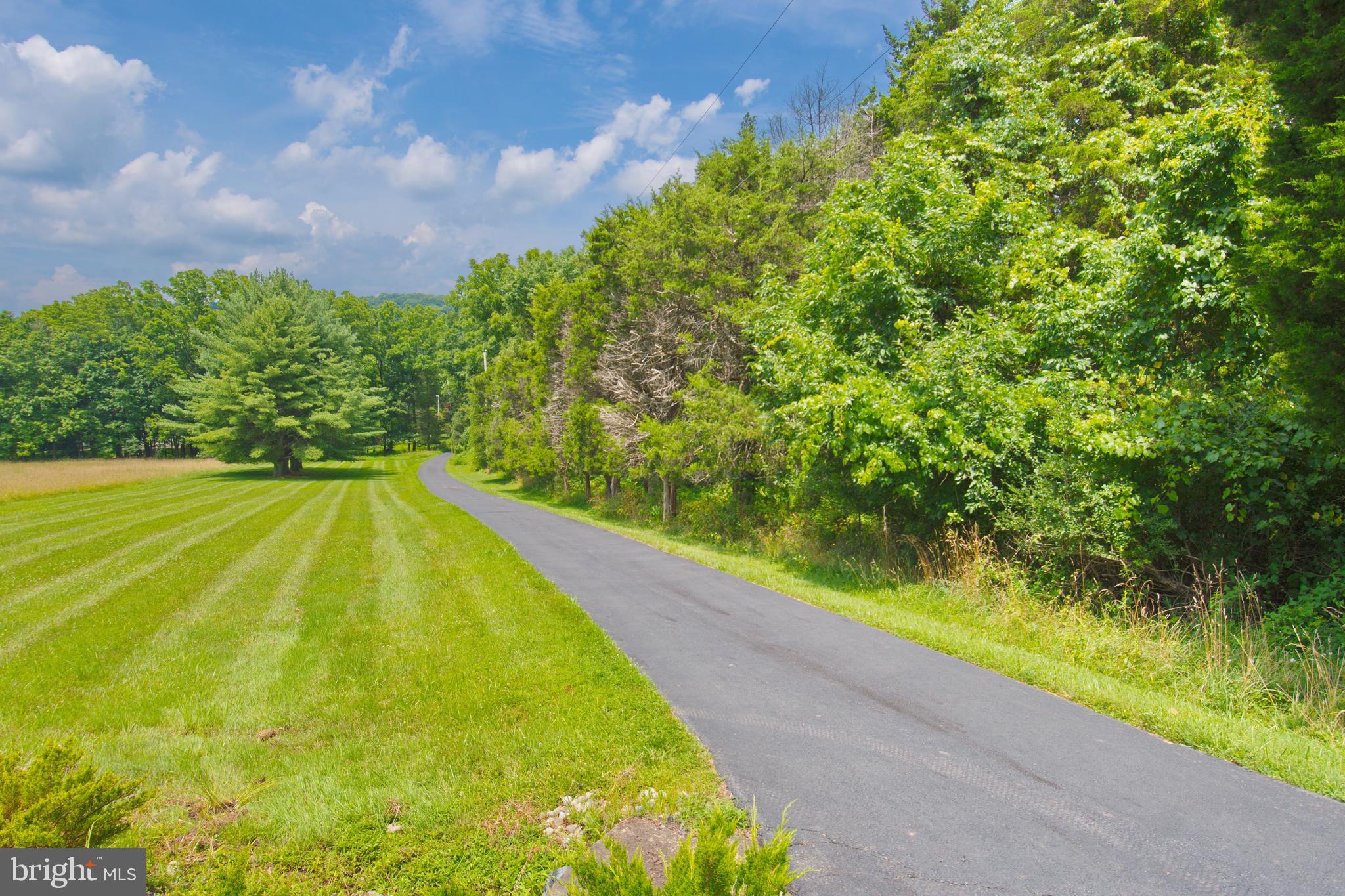 223 Headquarters Road Erwinna, PA 18920 - Photo 53 of 69