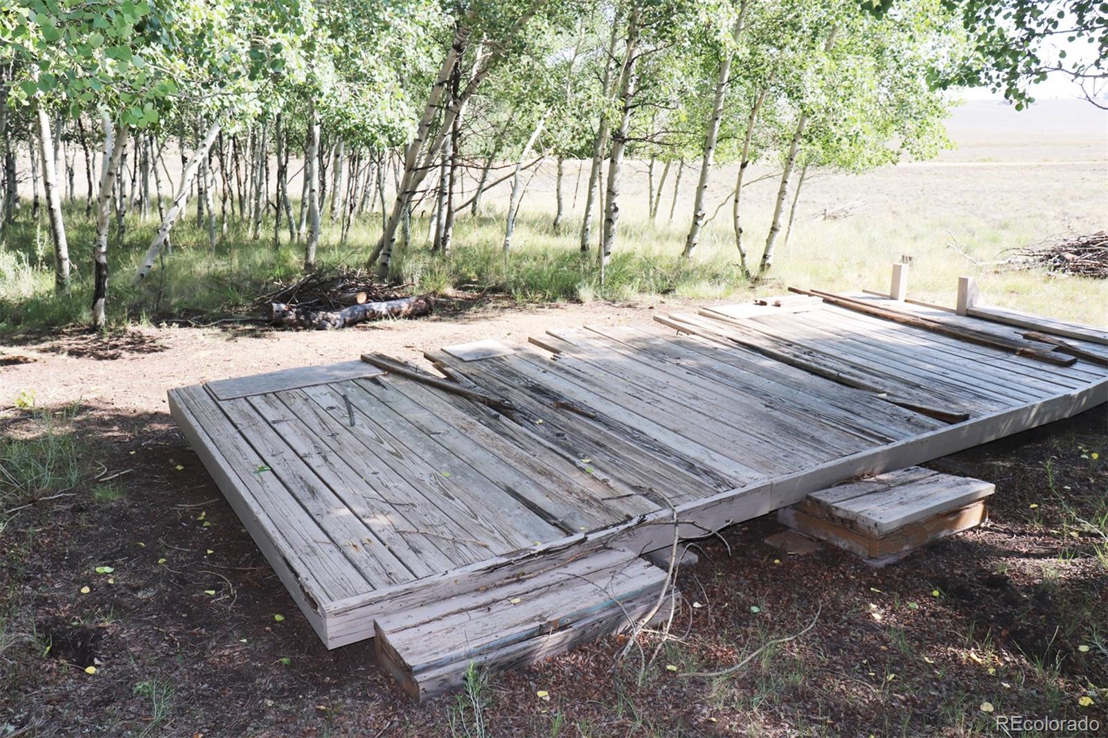 2518 Campfire Road Hartsel, CO 80449 - Photo 11 of 23 Gallery Image 11