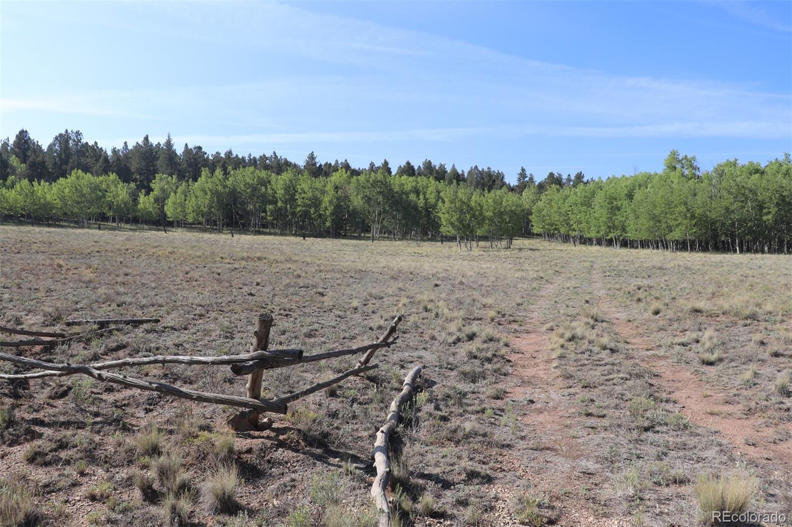 2518 Campfire Road Hartsel, CO 80449 - Photo 12 of 23 Gallery Image 12