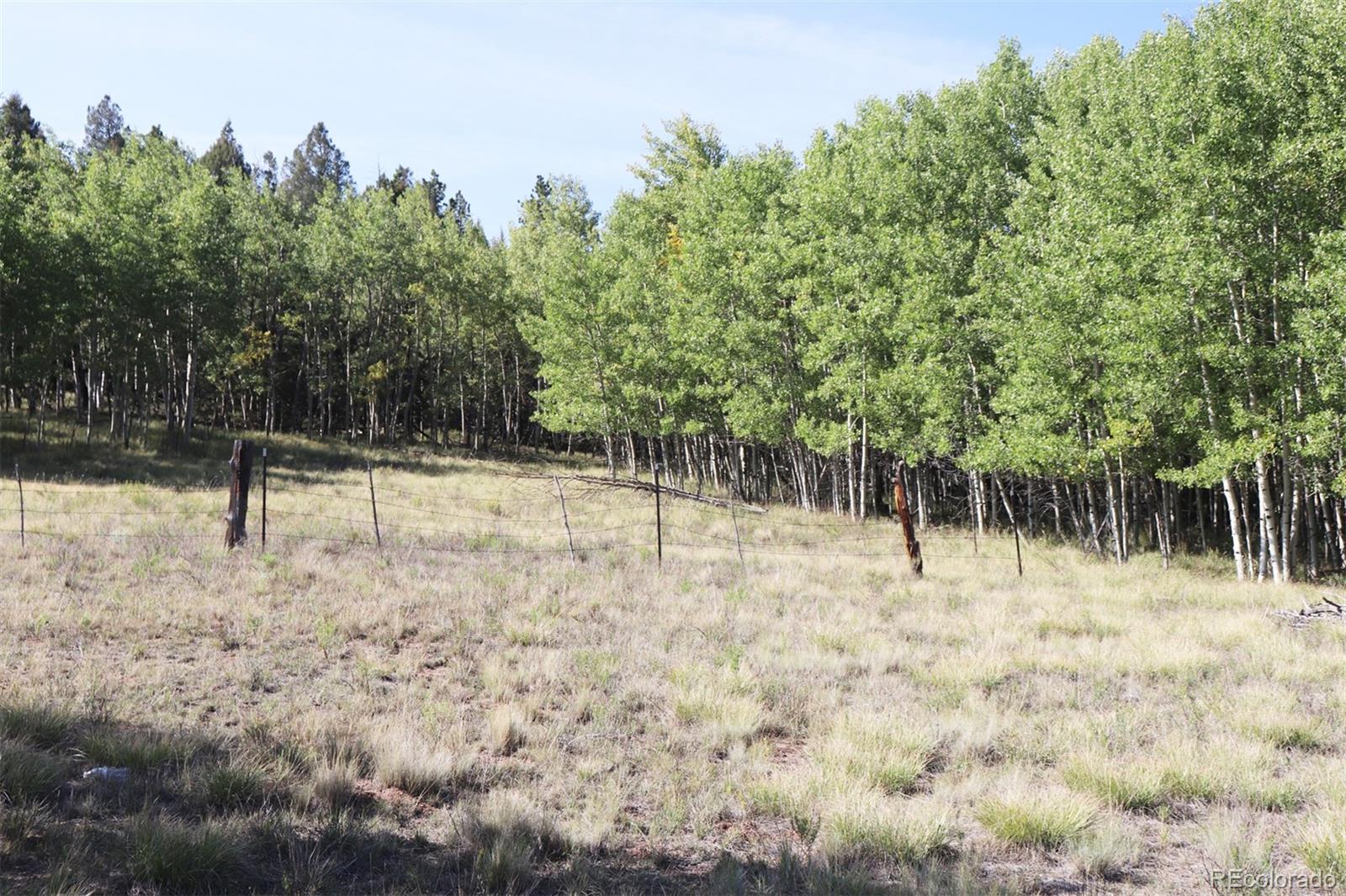 2518 Campfire Road Hartsel, CO 80449 - Photo 13 of 23 Gallery Image 13