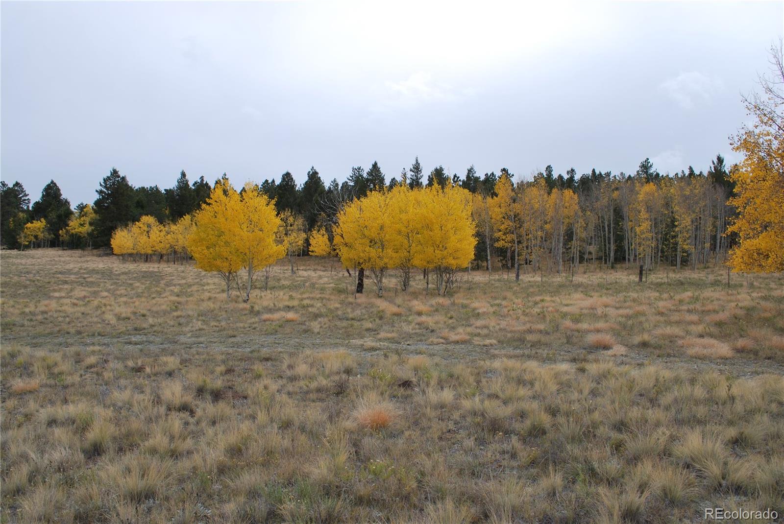 2518 Campfire Road Hartsel, CO 80449 - Photo 14 of 23 Gallery Image 14