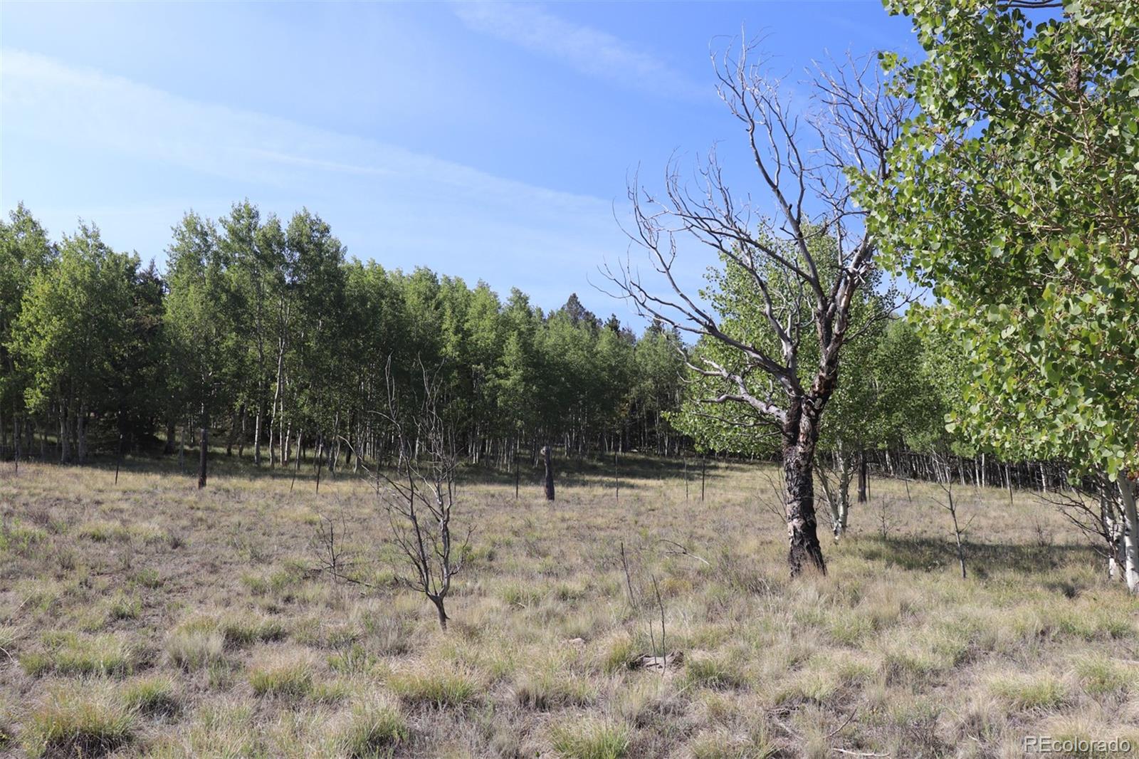 2518 Campfire Road Hartsel, CO 80449 - Photo 15 of 23 Gallery Image 15