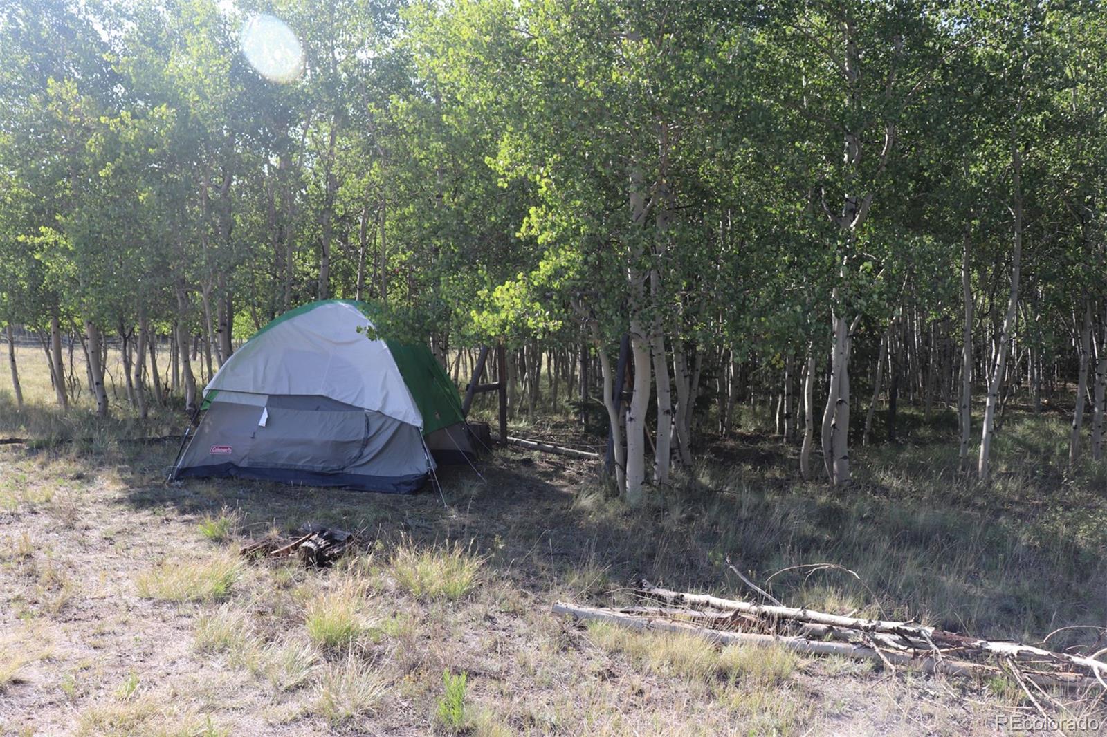 2518 Campfire Road Hartsel, CO 80449 - Photo 17 of 23 Gallery Image 17