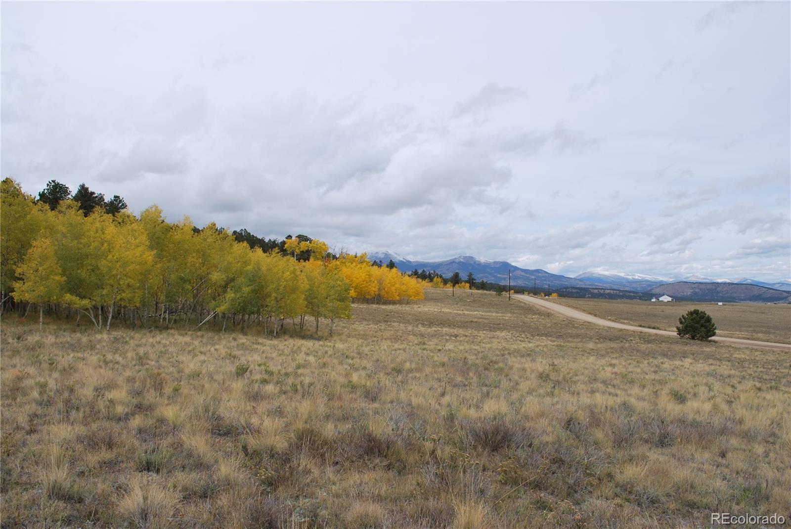 2518 Campfire Road Hartsel, CO 80449 - Photo 20 of 23 Gallery Image 20
