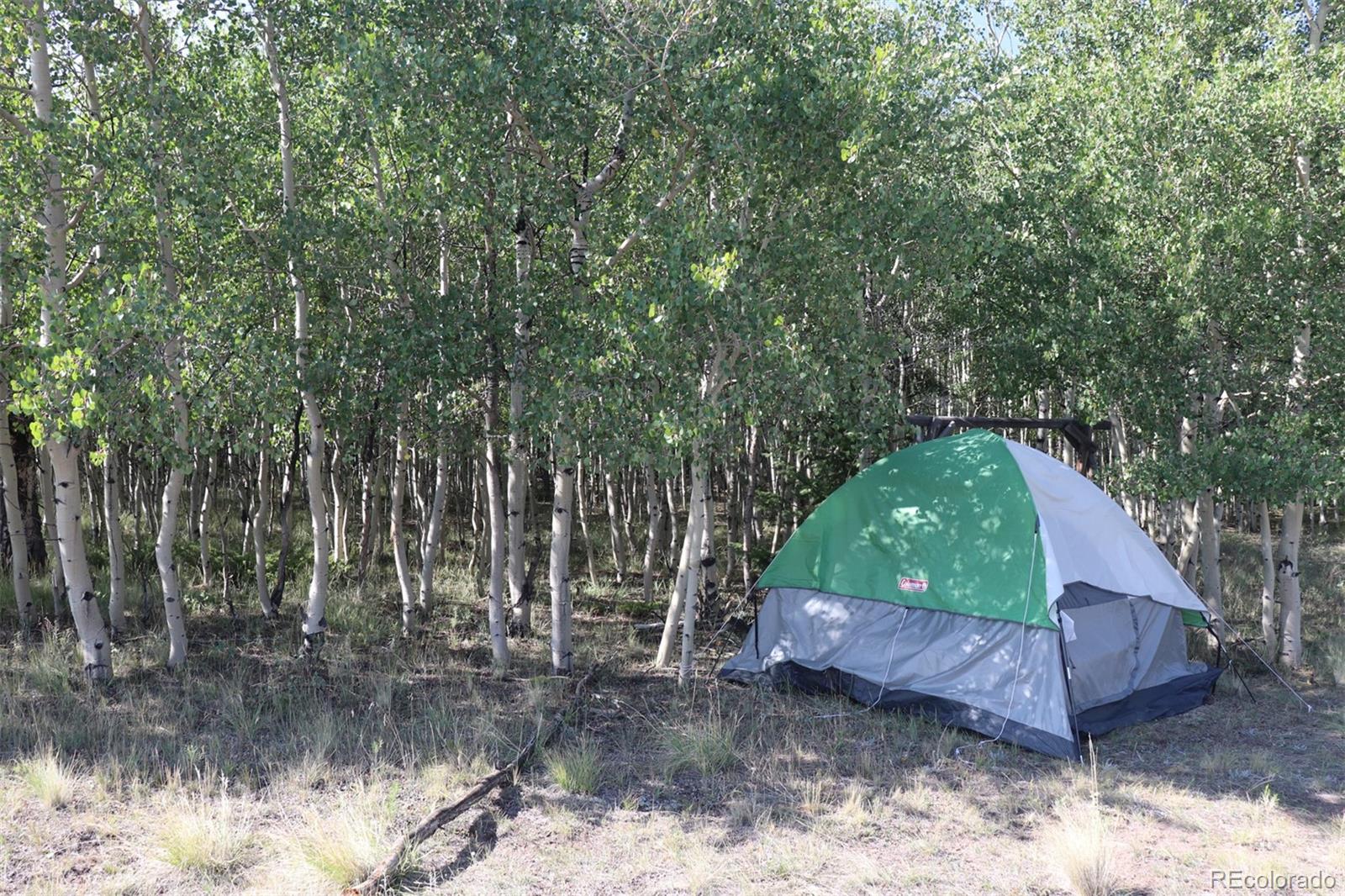 2518 Campfire Road Hartsel, CO 80449 - Photo 2 of 23 Gallery Image 2