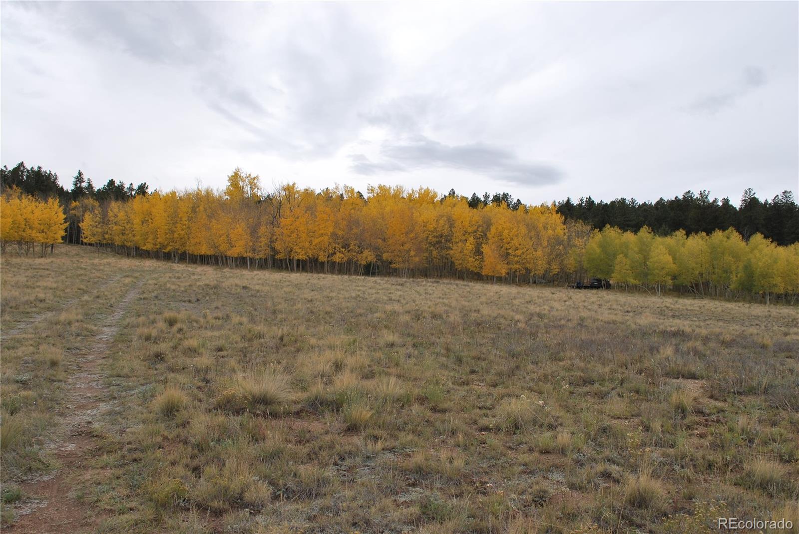 2518 Campfire Road Hartsel, CO 80449 - Photo 22 of 23 Gallery Image 22