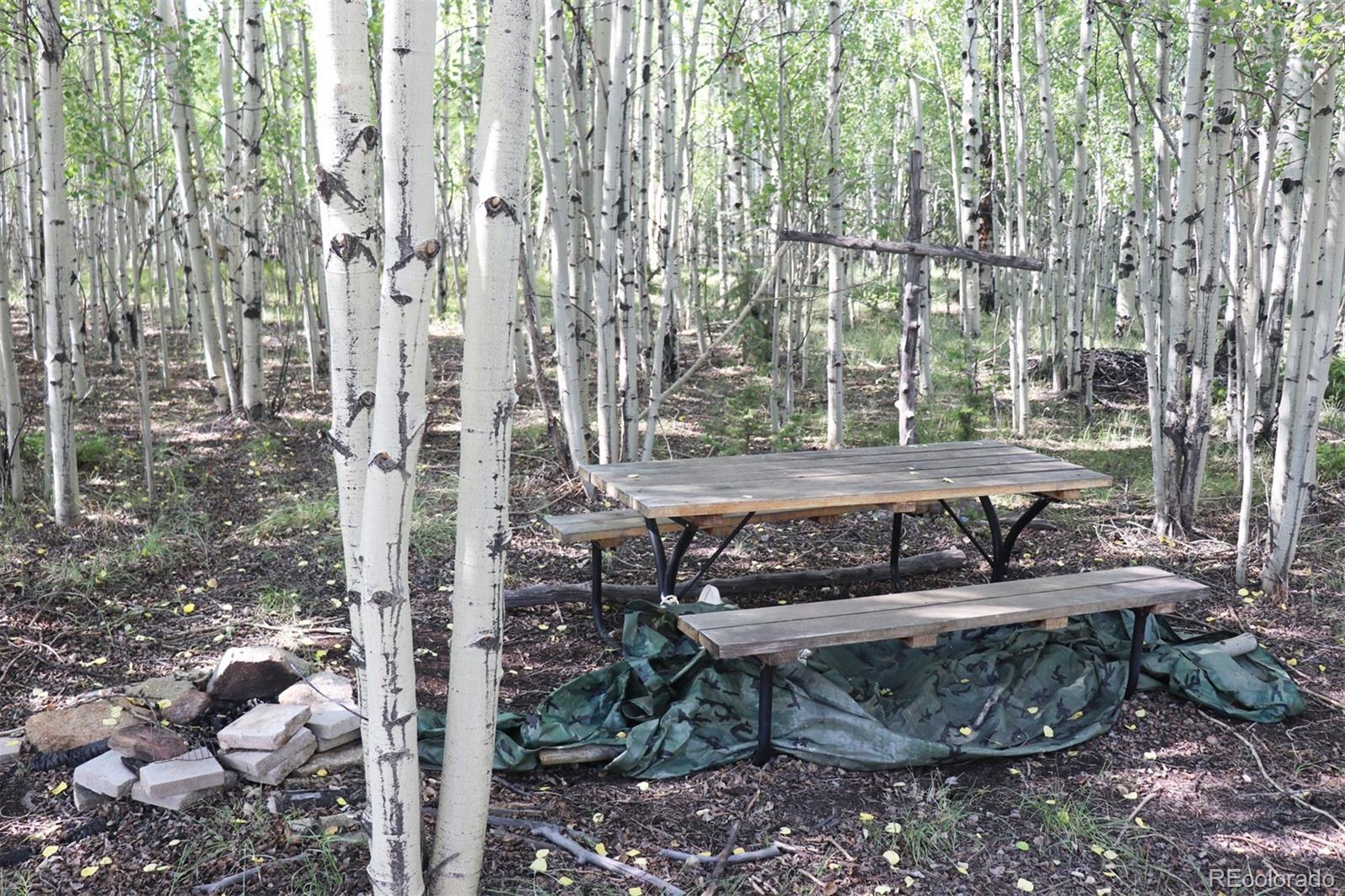 2518 Campfire Road Hartsel, CO 80449 - Photo 3 of 23 Gallery Image 3