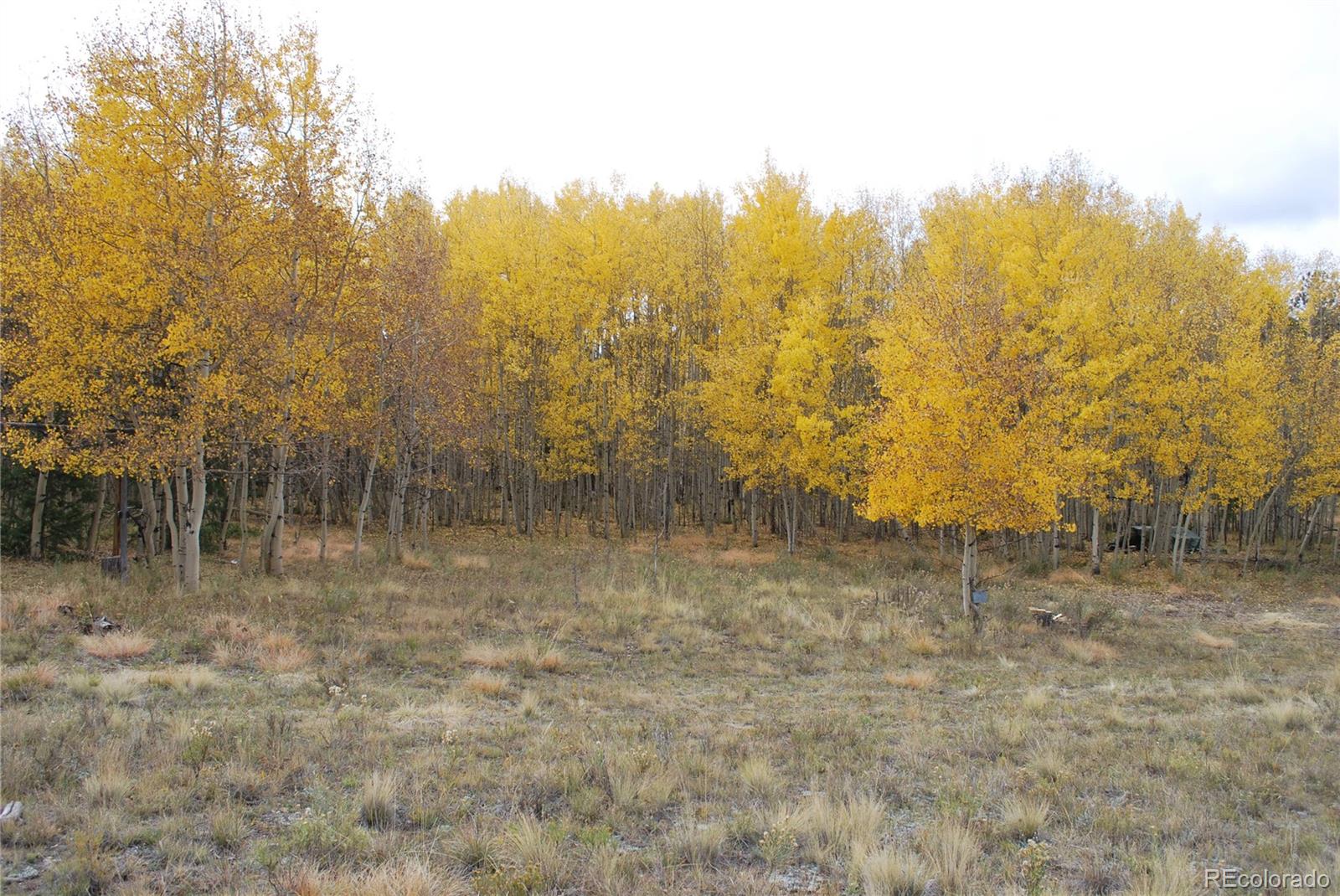 2518 Campfire Road Hartsel, CO 80449 - Photo 5 of 23 Gallery Image 5