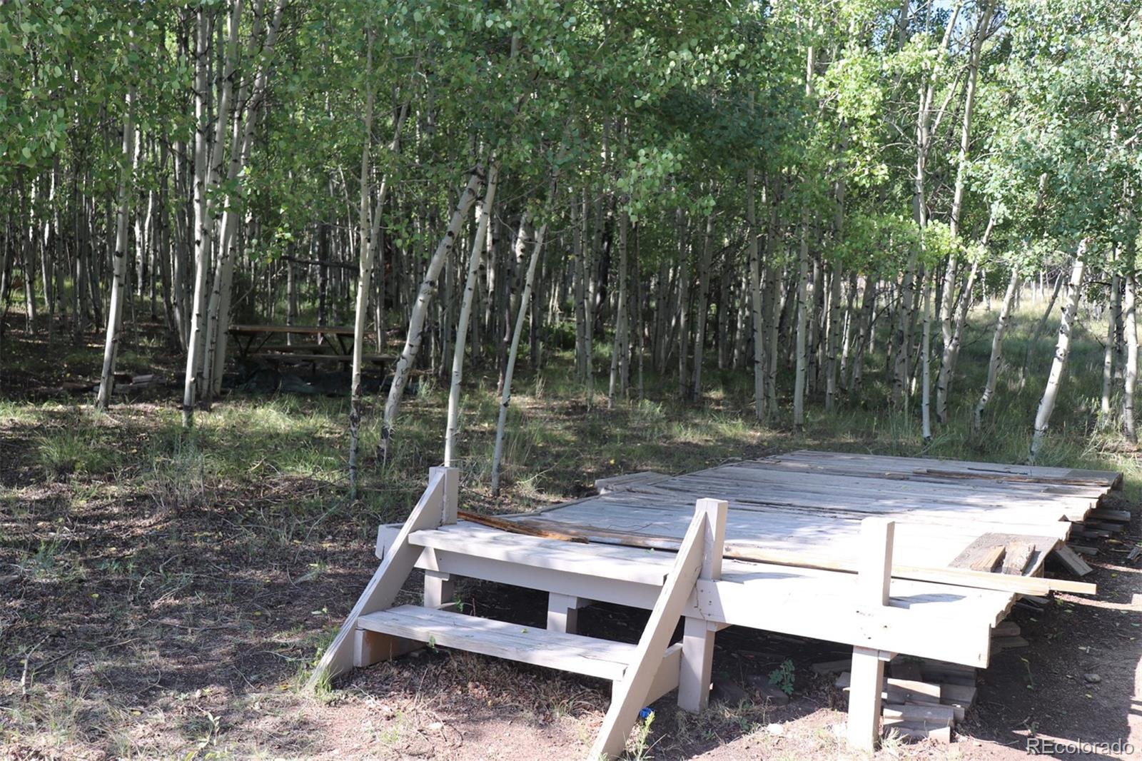 2518 Campfire Road Hartsel, CO 80449 - Photo 7 of 23 Gallery Image 7