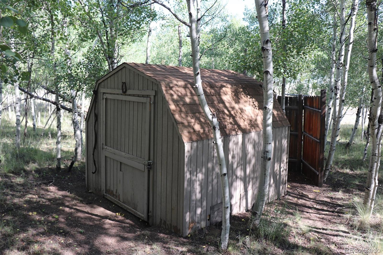 2518 Campfire Road Hartsel, CO 80449 - Photo 8 of 23 Gallery Image 8