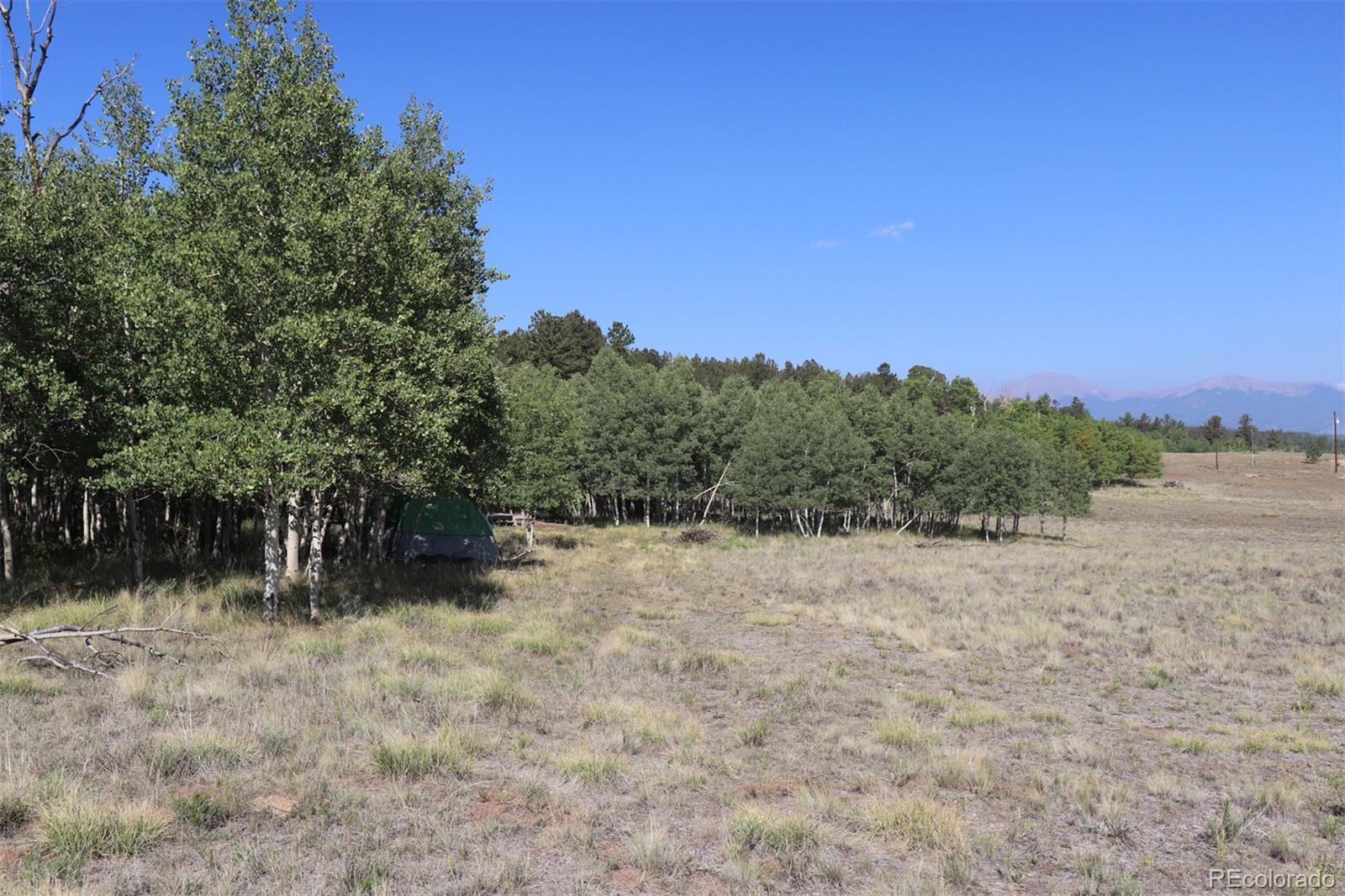 2518 Campfire Road Hartsel, CO 80449 - Photo 9 of 23 Gallery Image 9