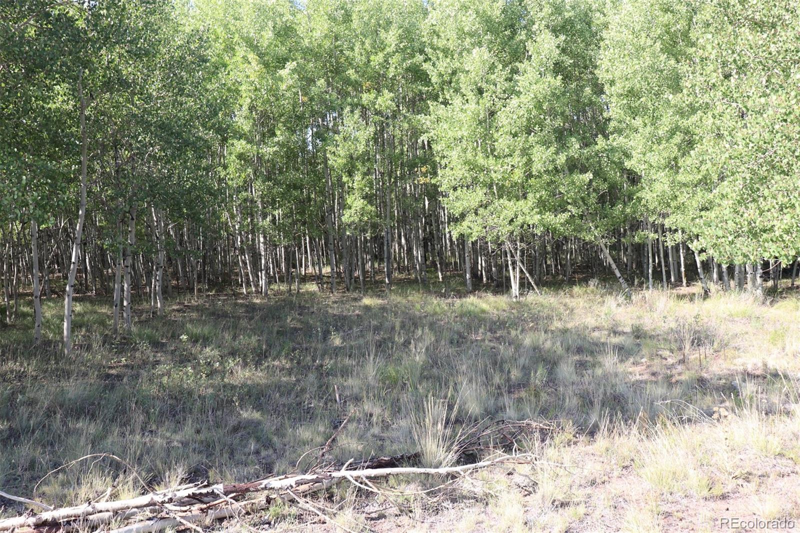 2518 Campfire Road Hartsel, CO 80449 - Photo 10 of 23 Gallery Image 10