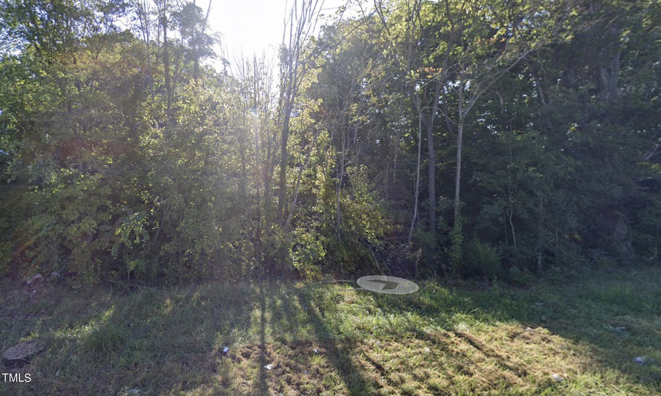 908 Jimmie Kerr Road Graham, NC 27258 - Photo 10 of 15 a view of a forest