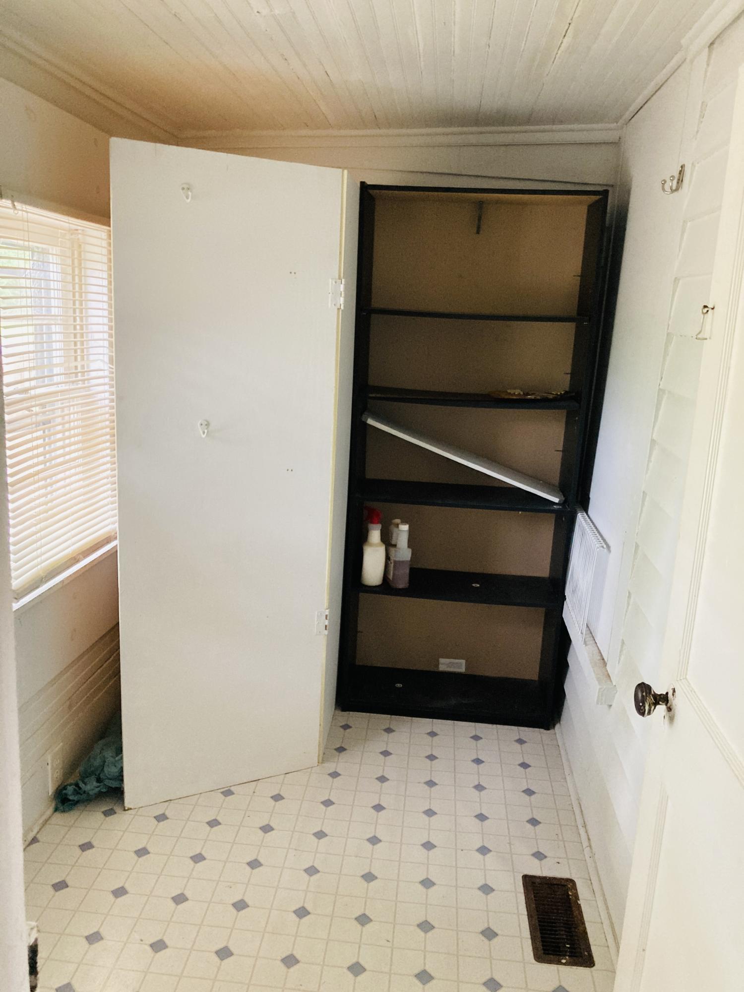 82 Moore Rouse Road Snow Hill, NC 28580 - Photo 15 of 19 Walk in Pantry