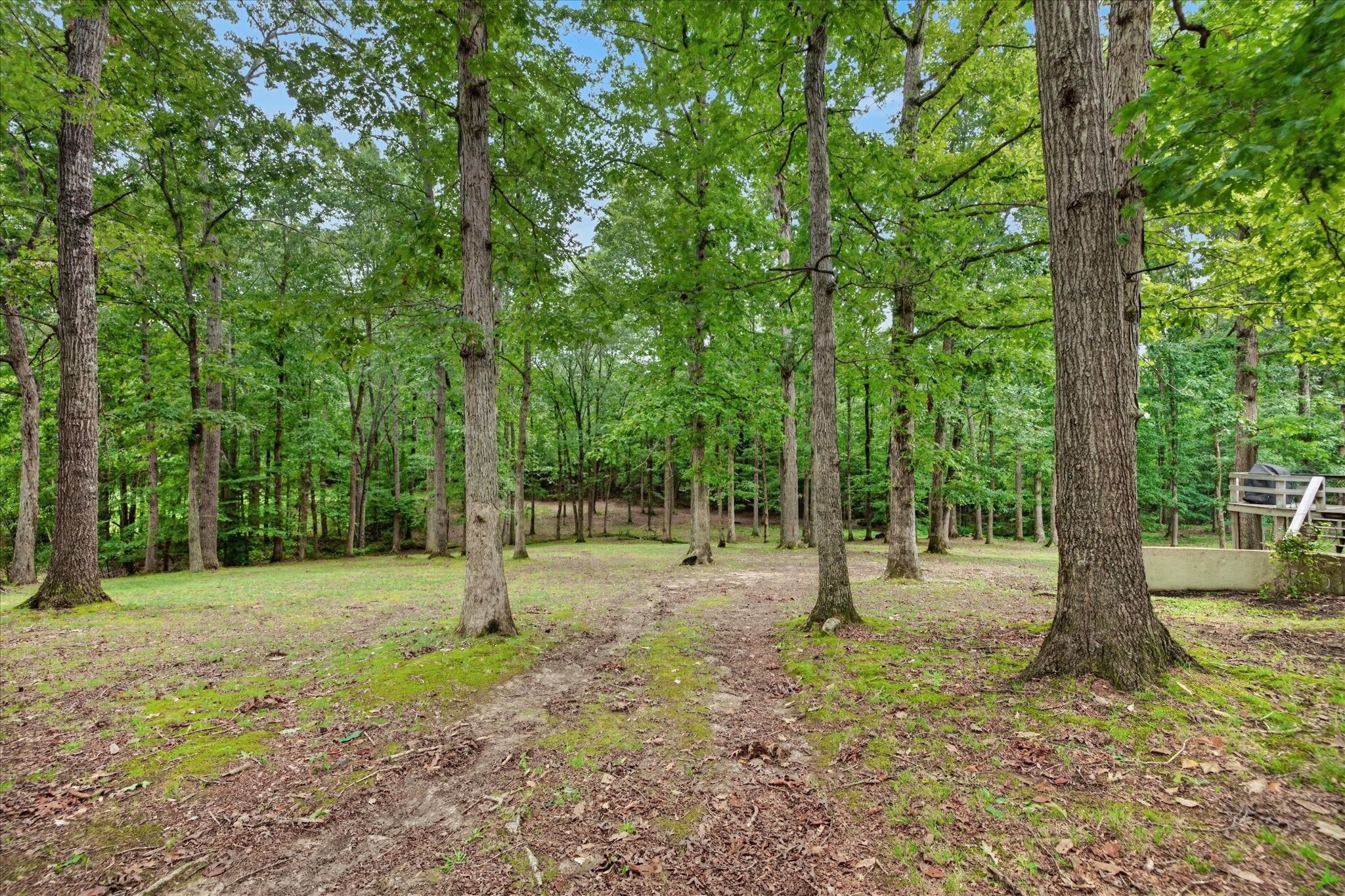 175 Castleton Cove Paris, TN 38242 - Photo 43 of 52 Gallery Image 43