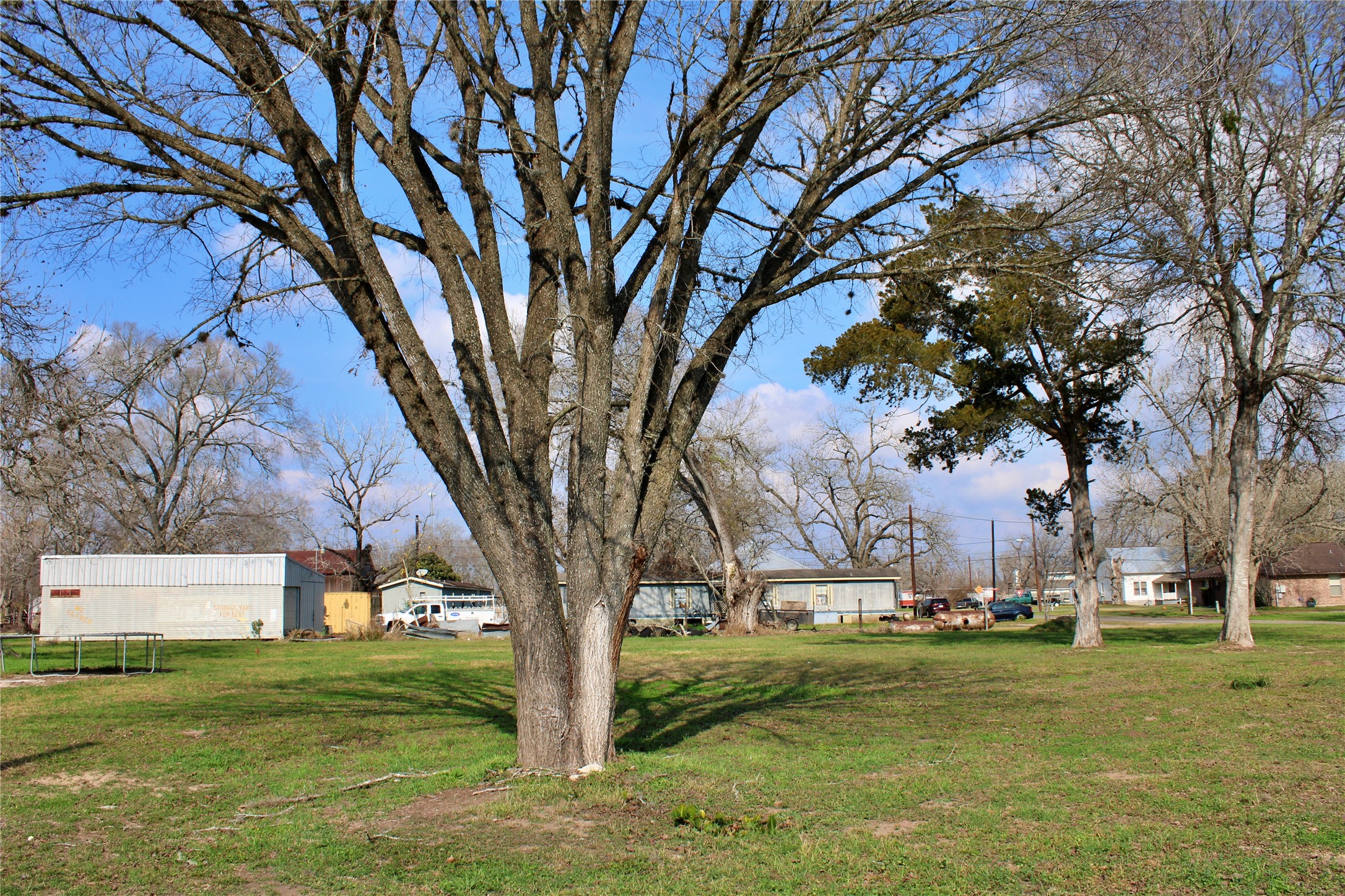 638 Prairie Street Columbus, TX 78934 - Photo 2 of 6 a view of a trees in a yard with a large tree