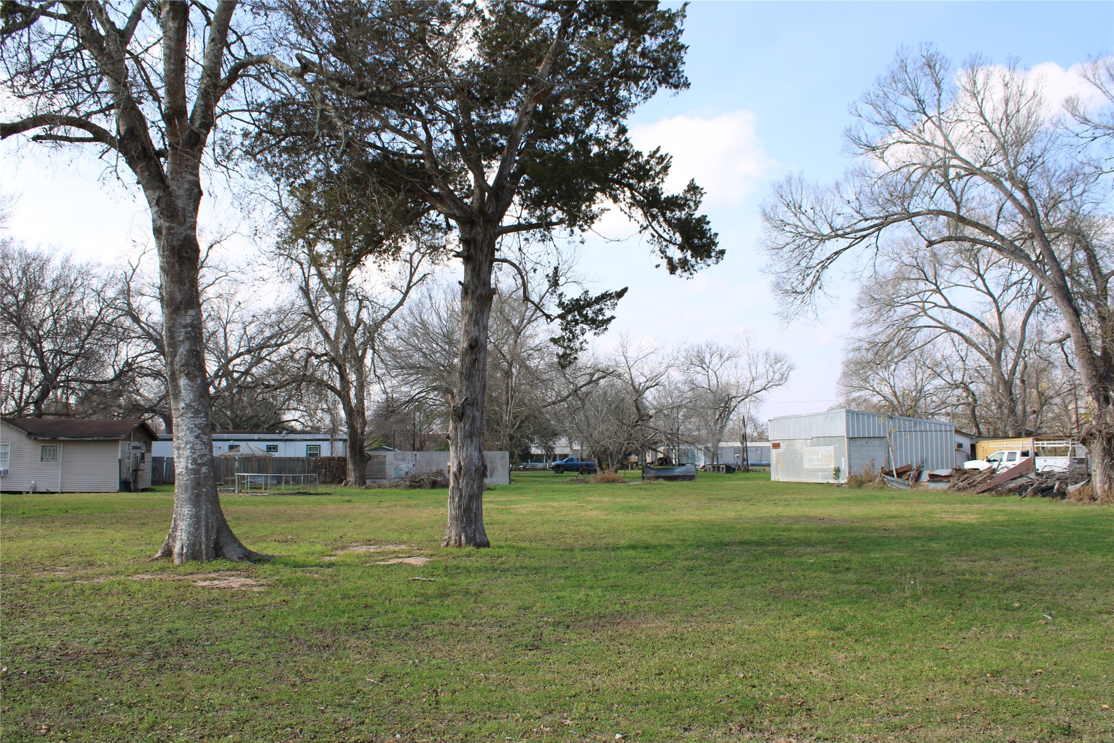 638 Prairie Street Columbus, TX 78934 - Photo 3 of 6 a view of a tree in a park