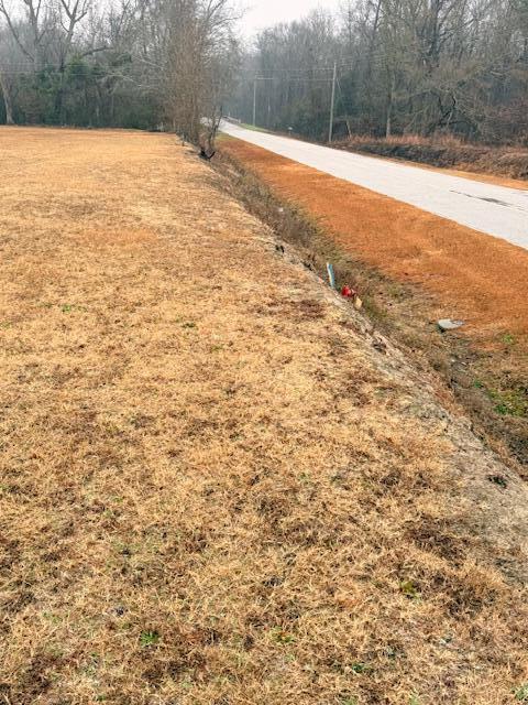 785 Westbury Mill Road Sumter, SC 29153 - Photo 2 of 3
