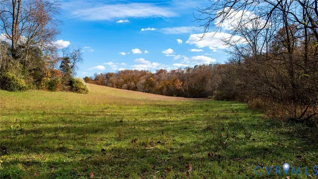 a view of beach and green space