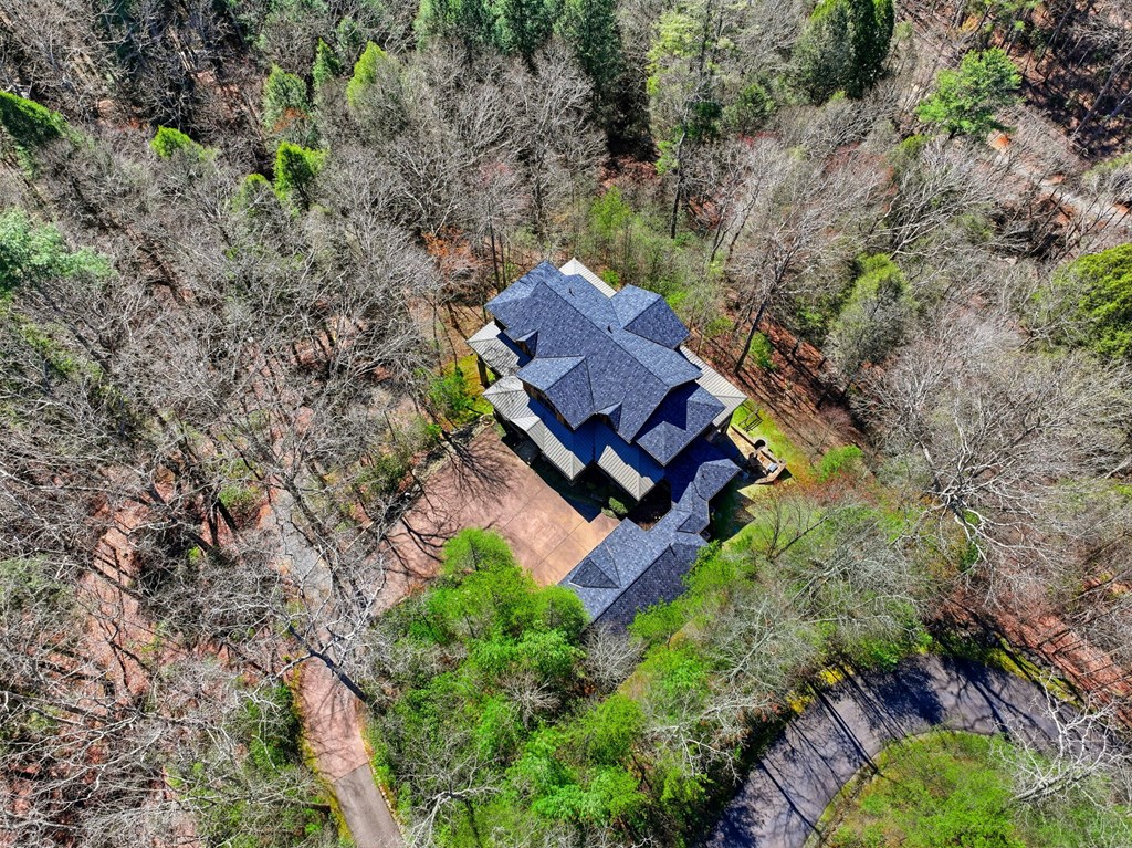124 Wilderness Way Ellijay, GA 30536 - Photo 13 of 117