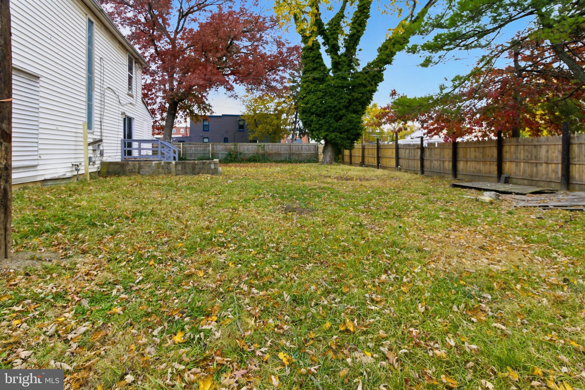 6408 Eastbourne Avenue Baltimore, MD 21224 - Photo 34 of 34 a view of a yard with plants and trees