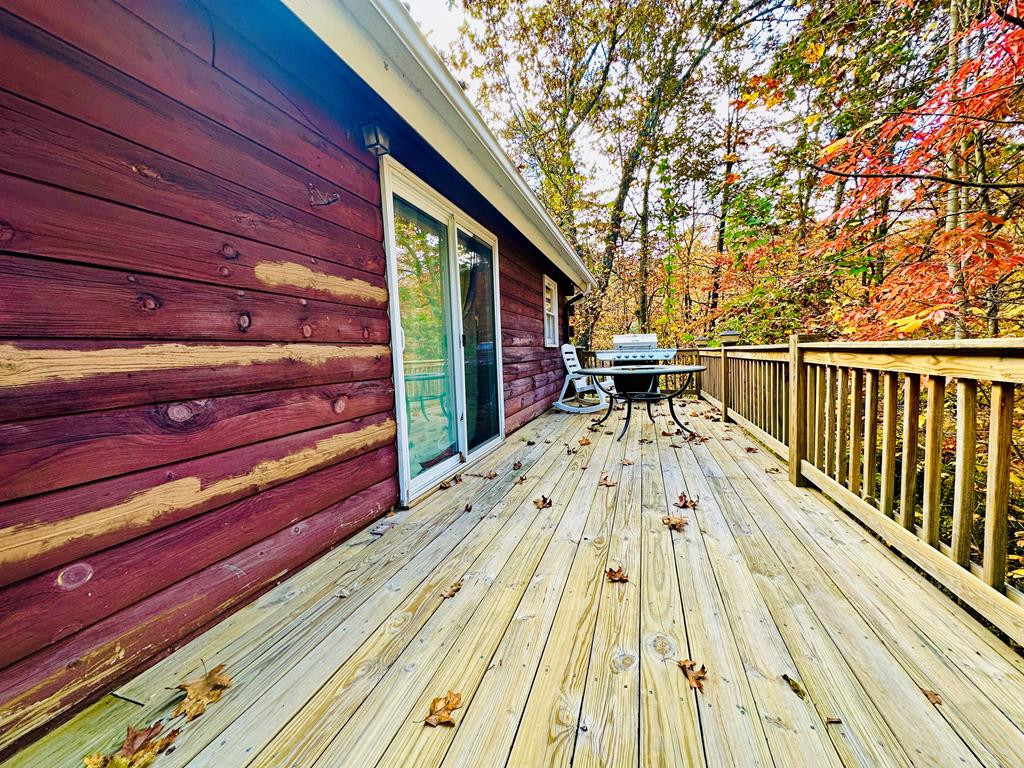 888 Jenkins Branch Road Bryson City, NC 28713 - Photo 13 of 14 Gallery Image 13