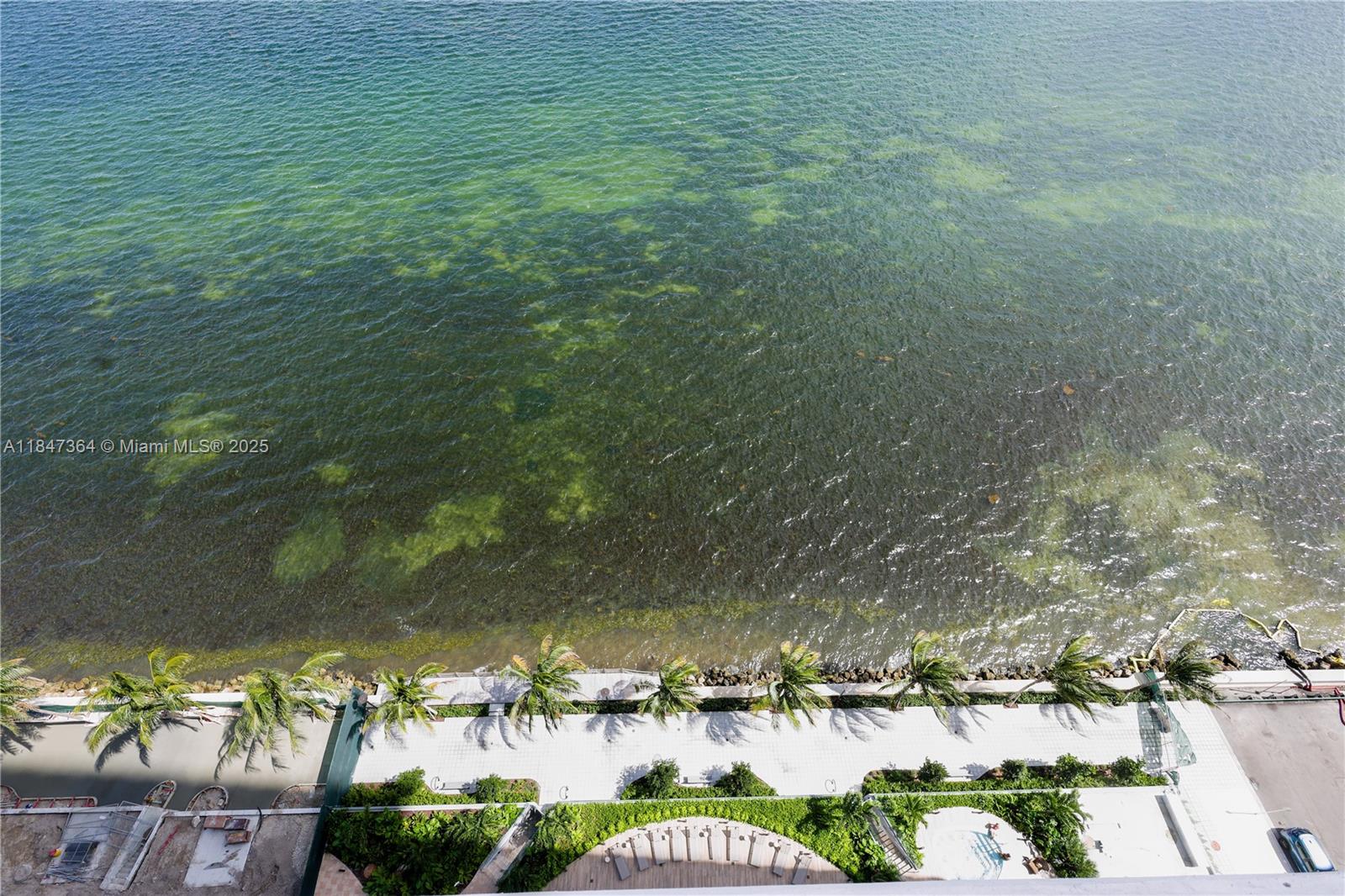 700 Northeast 24th Street, Unit 1603 Miami, FL 33137 - Photo 12 of 67 a view of lake