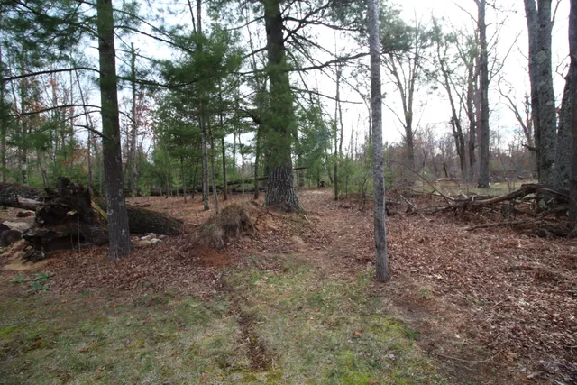 $220,000 | 8458 South Broadway Street, Idlewild, MI 49642