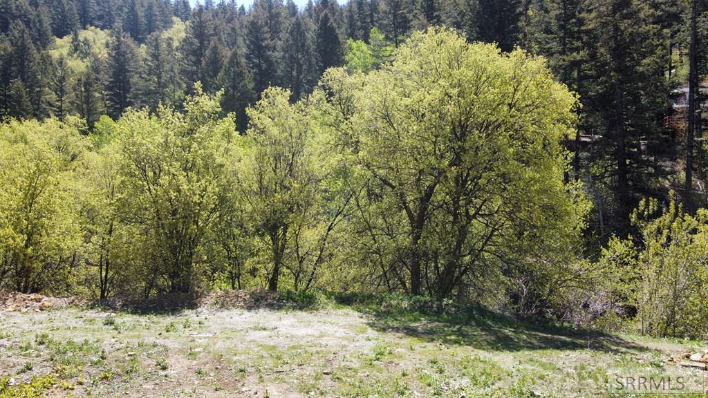 Lot 9 North Whispering Pines Road Pocatello, ID 83201 - Photo 4 of 21