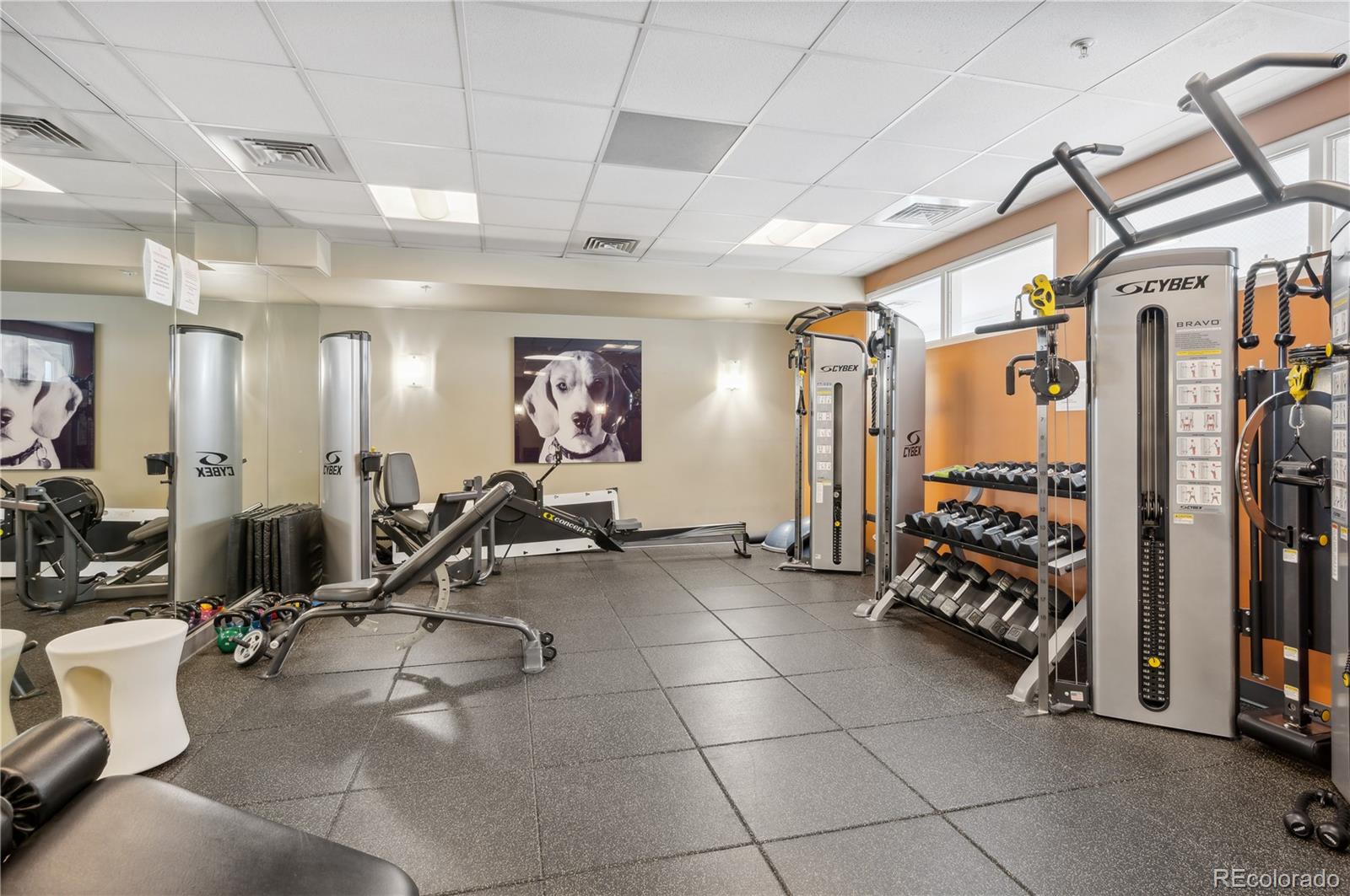 410 Acoma Street, Unit 609 Denver, CO 80204 - Photo 26 of 27