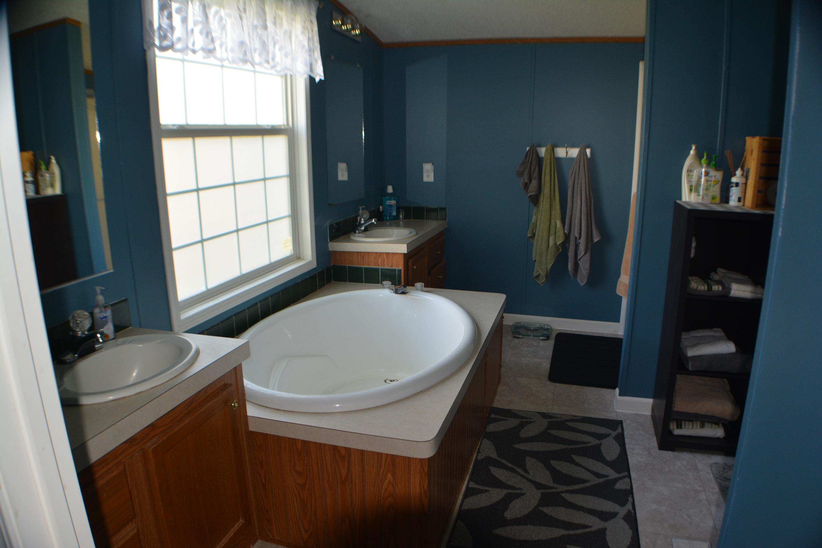 411 Tommy Carter Road Axton, VA 24054 - Photo 15 of 27 Masterbath 1