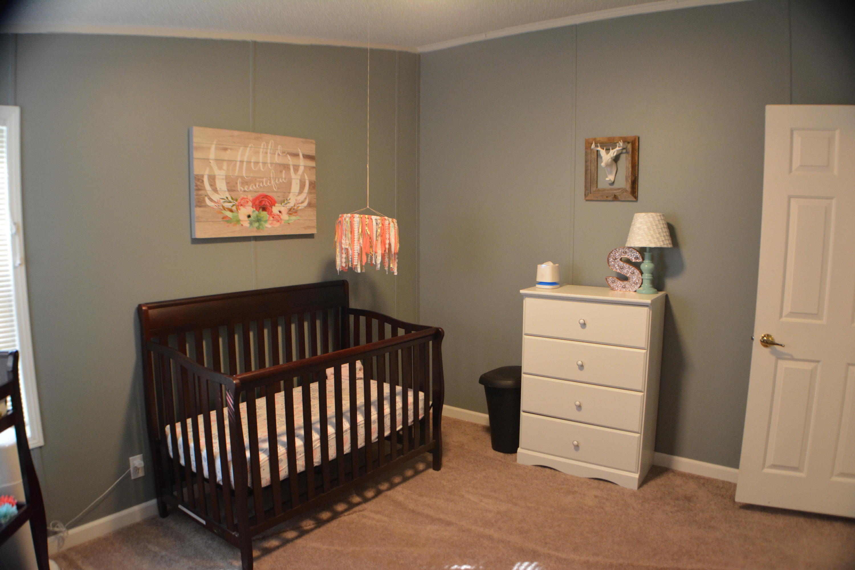 411 Tommy Carter Road Axton, VA 24054 - Photo 19 of 27 DSC_0520