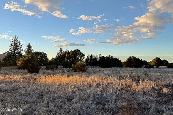 $55,000 | 1930 Silver Lake Boulevard, Show Low, AZ 85901