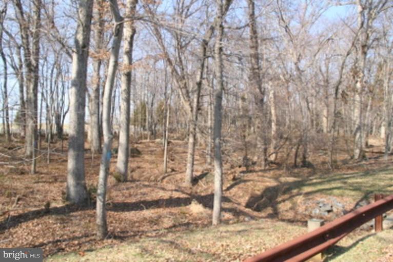 Glen Road Potomac, MD 20854 - Photo 1 of 3 Wooded View / Acreage