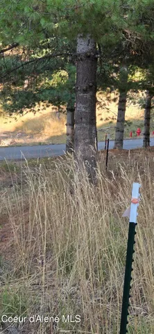 $399,999 | 924 Lower Page Road, Smelterville, ID 83868