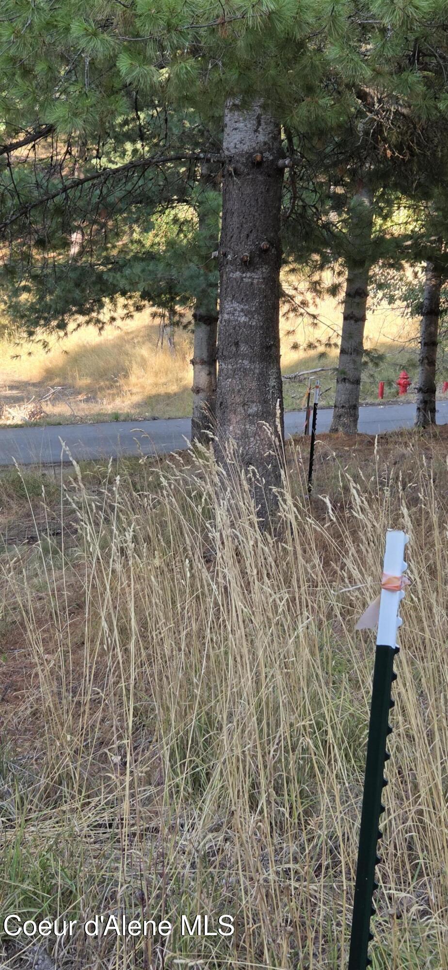 924 Lower Page Road Smelterville, ID 83868 - Photo 12 of 14 Property line