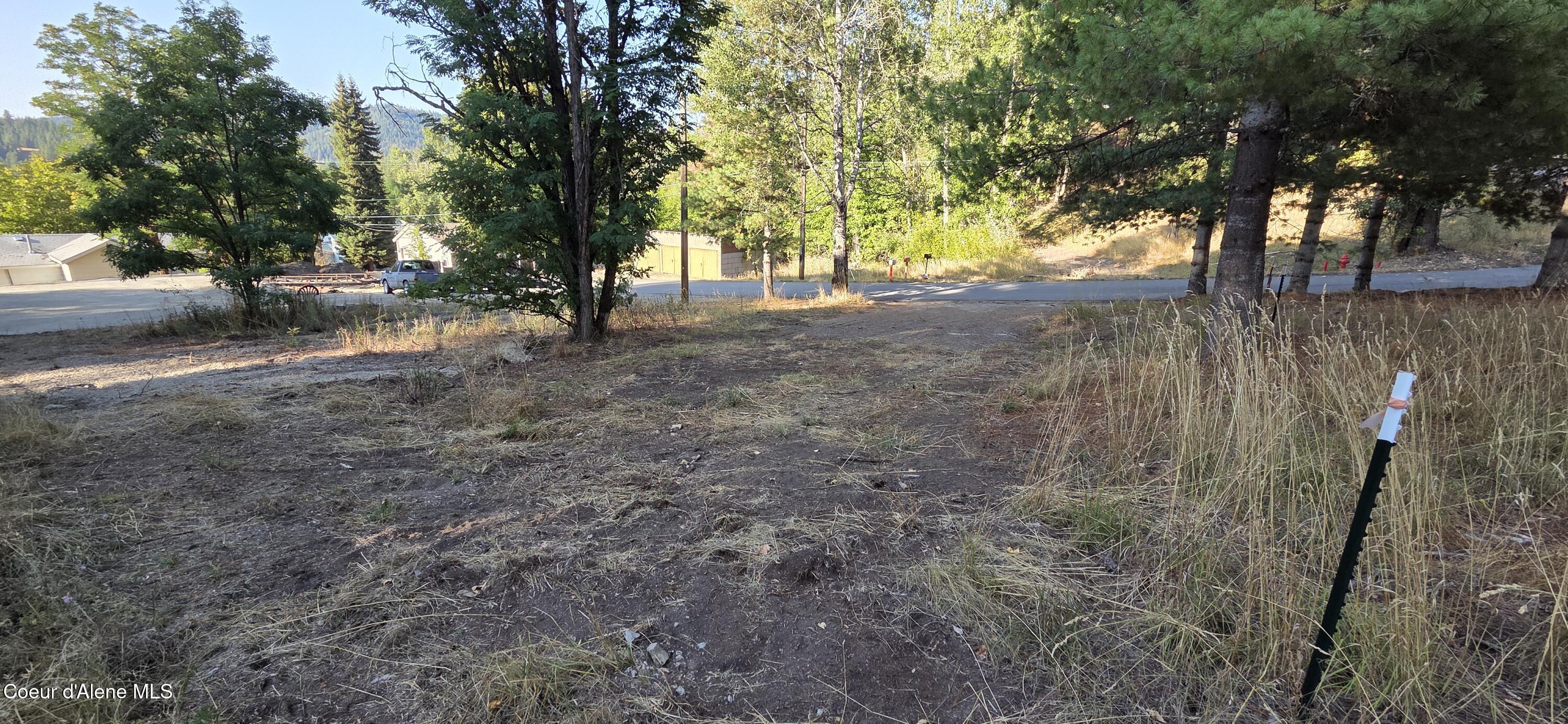 924 Lower Page Road Smelterville, ID 83868 - Photo 13 of 14 Open with trees