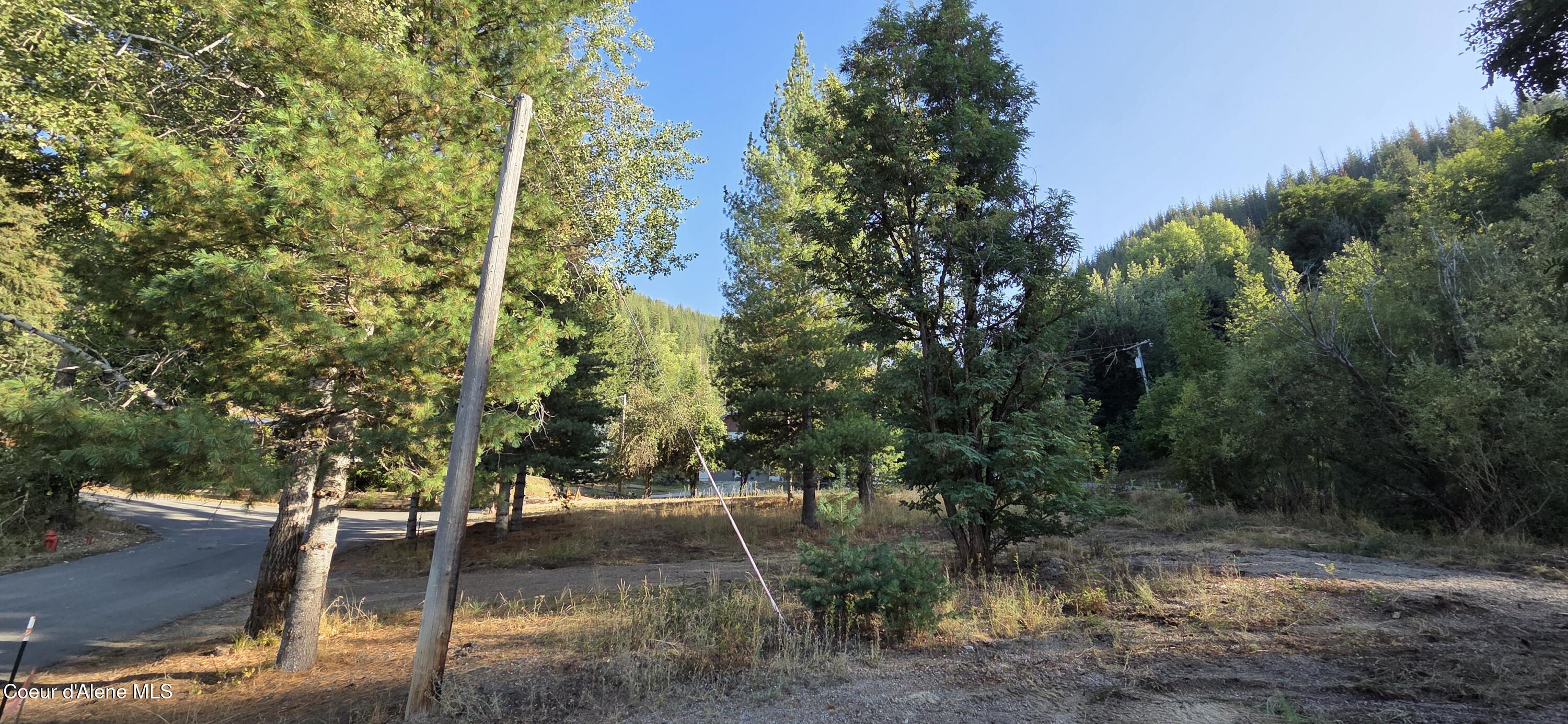 924 Lower Page Road Smelterville, ID 83868 - Photo 4 of 14 Power on property