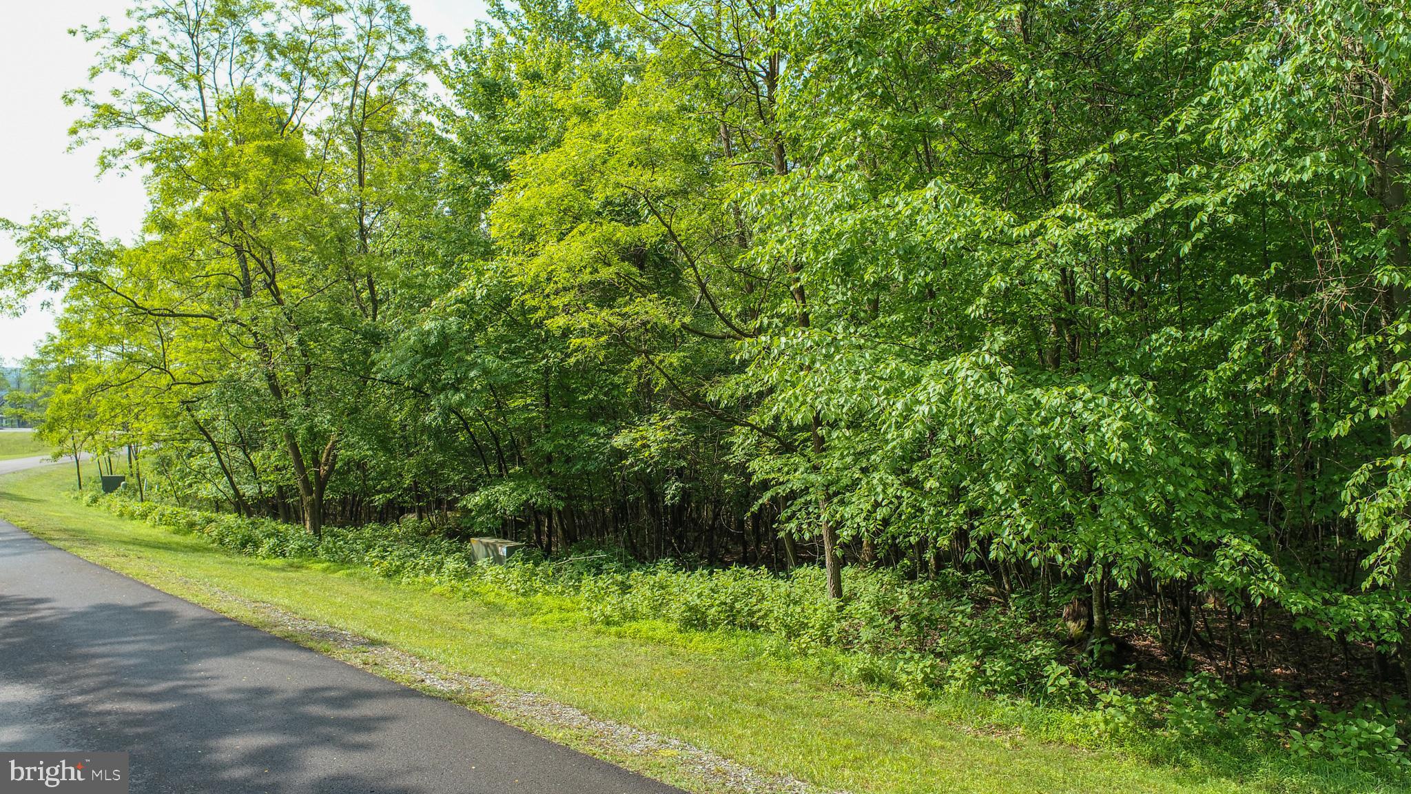 Lot 47 Mountaintop Road McHenry, MD 21541 - Photo 21 of 26 a view of backyard with green space