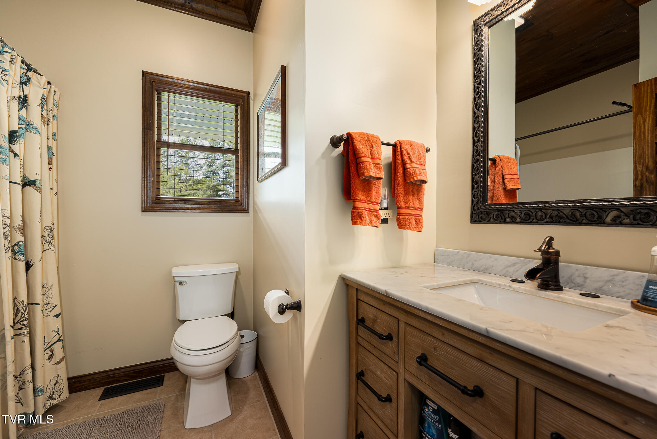 533 Harmon Road Mountain City, TN 37683 - Photo 63 of 75 533 Harmon Road (62 of 74)