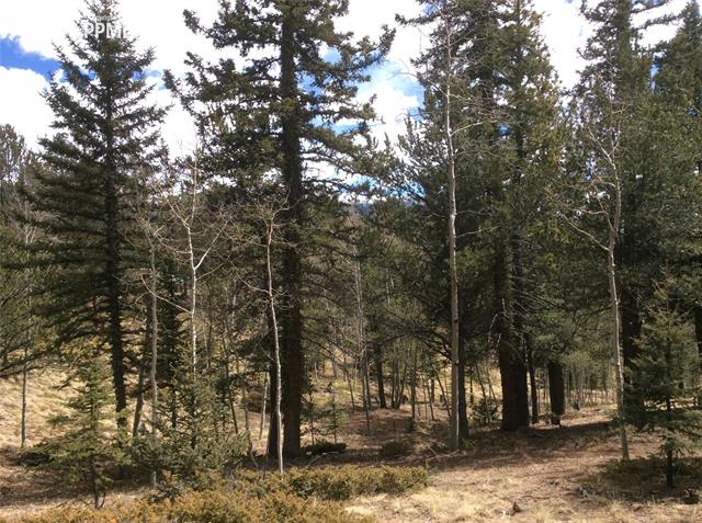 26 Mica Road Divide, CO 80814 - Photo 5 of 14