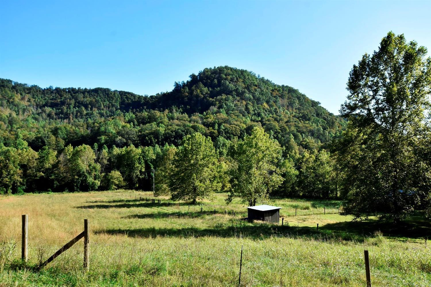 250 Middle Fork Road Irvine, KY 40336 - Photo 11 of 31 Your horses would love the peace and qui