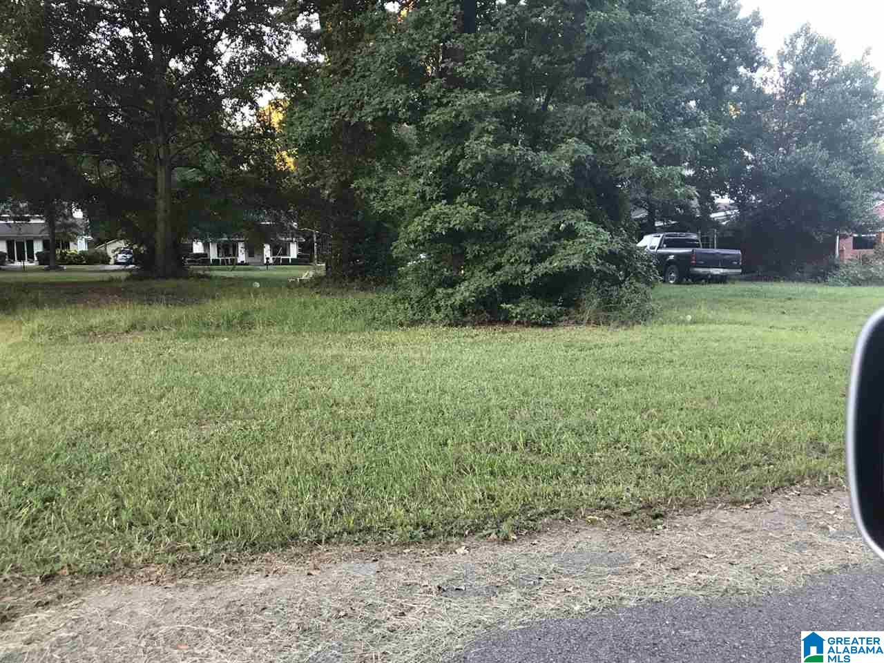 0 8th Street, Unit 1 Clanton, AL 35045 - Photo 2 of 5