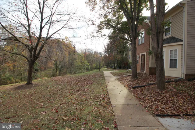 a view of a city street with a cars parked on the roadside