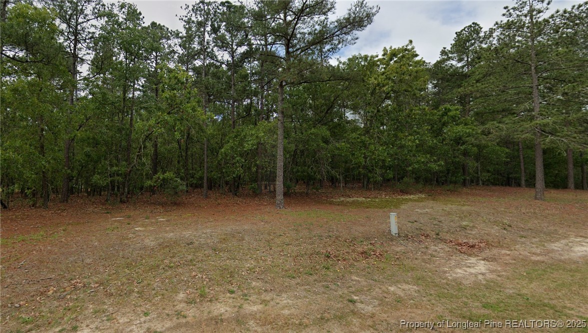 30 Peach Orchard Road Wagram, NC 28396 - Photo 1 of 12 Gallery Image 1
