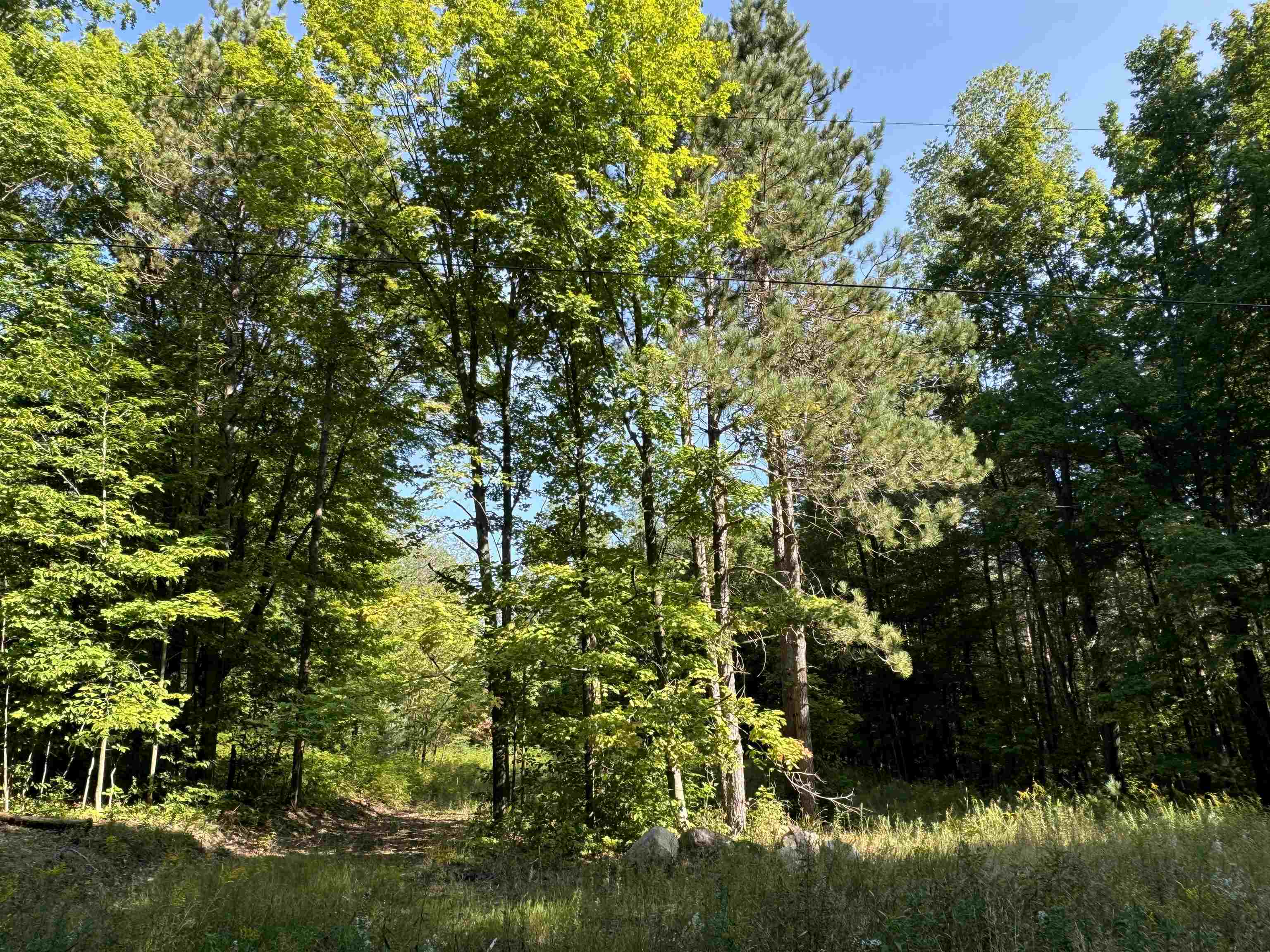 23 23 Mile Road Tustin, MI 49688 - Photo 10 of 13 1926943-b0fe530a-5926-4622-96be-8e3c6bbd7ec0.JPG