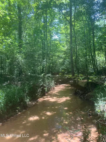 $68,900 | Church Road, Shubuta, MS 39360