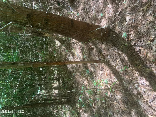 $68,900 | Church Road, Shubuta, MS 39360